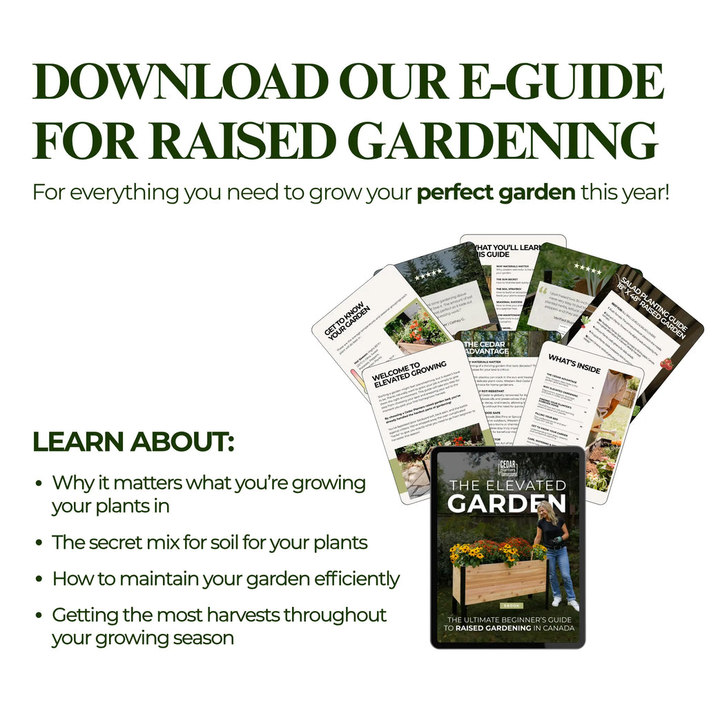 E-Book: Beginner's Guide to Raised Gardening In Canada