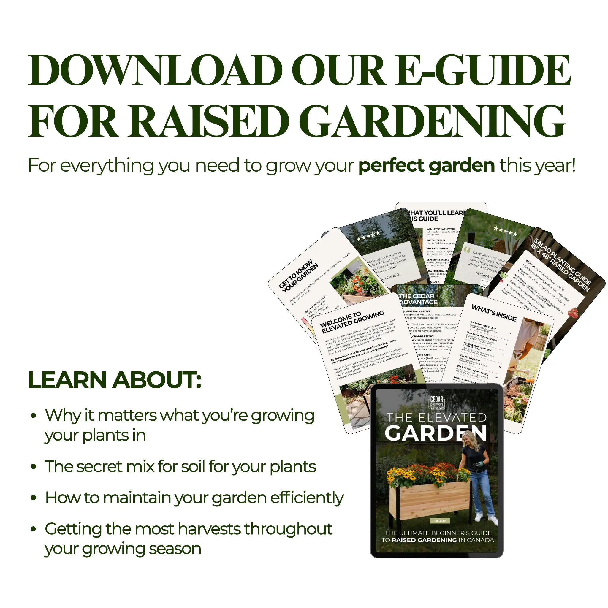 E-Book: Beginner's Guide to Raised Gardening In Canada
