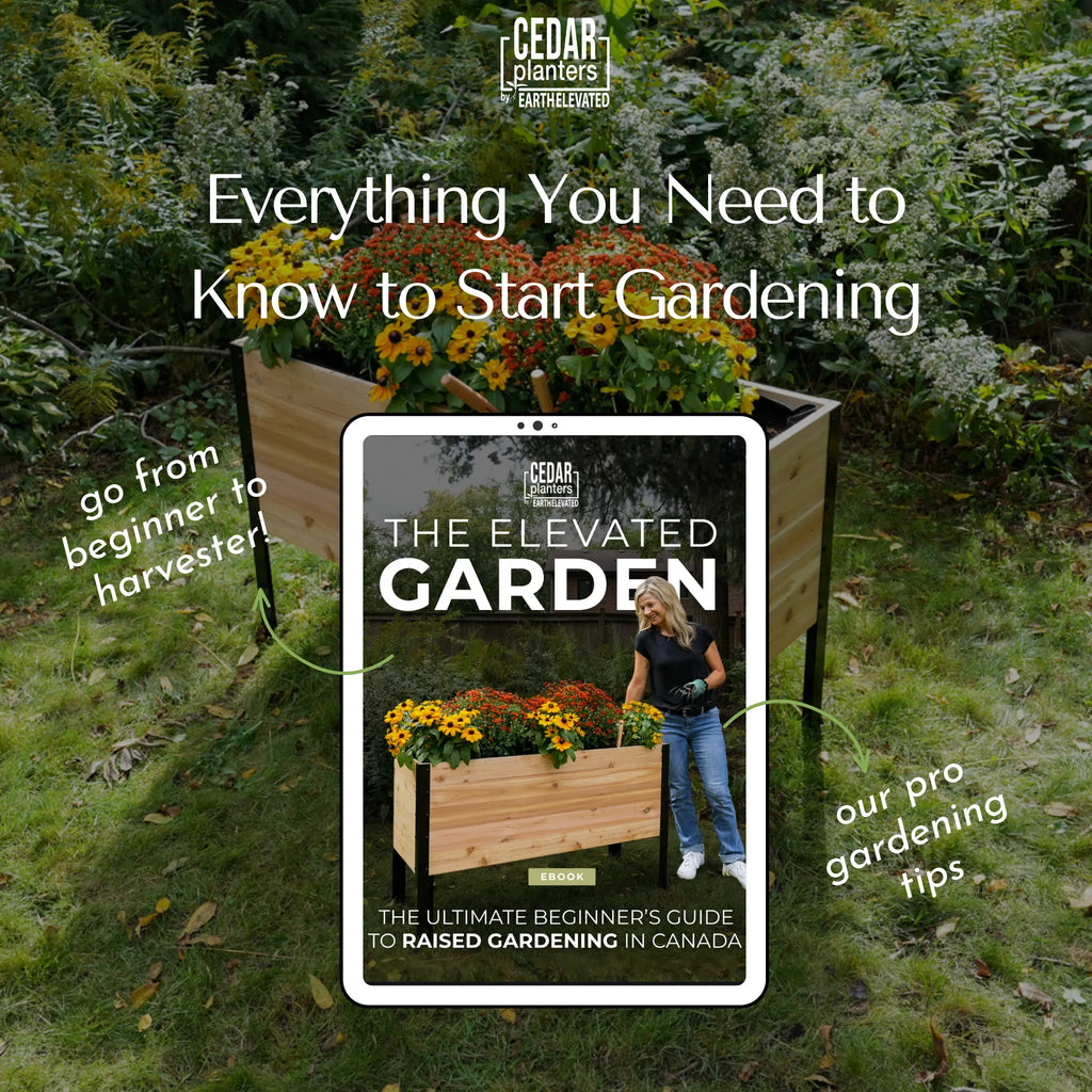 E-Book: Beginner's Guide to Raised Gardening In Canada
