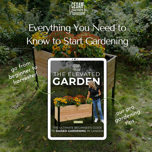 E-Book: Beginner's Guide to Raised Gardening In Canada